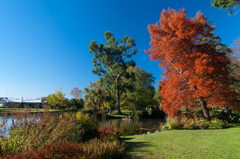 Autumn Mona Vale Gardens in Christchurch, New Zealand