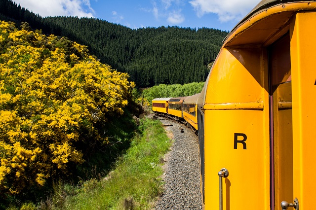 Taieri-Gorge-Railway-Dunedin-Things-To-Do-Weekend-Getaway
