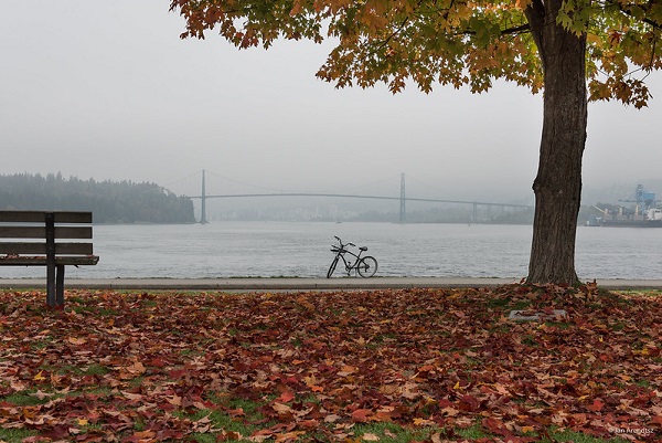 Seawall-Stanley-Park-Vancouver-Things-To-Do-Autumn